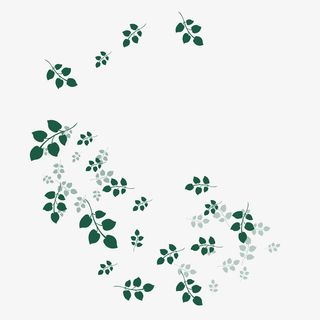 清新小花卡通插画20免抠