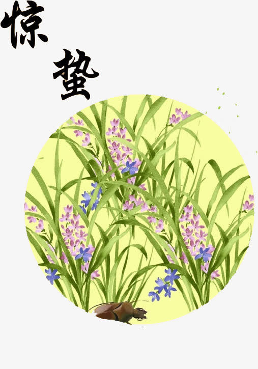 二十四节气惊蛰免抠