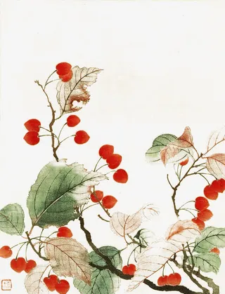 手绘樱桃树免抠