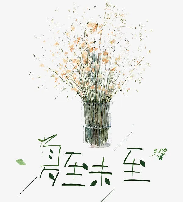 夏至未至免抠