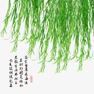 清明节水墨风手绘柳叶免抠