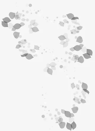 树叶叶子漂浮素材免抠