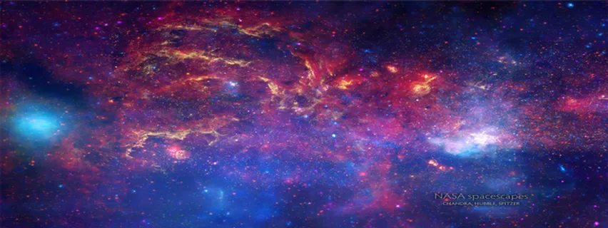 唯品会banner高清