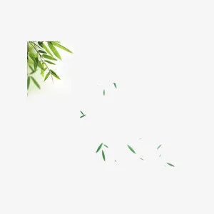 竹叶装饰免抠