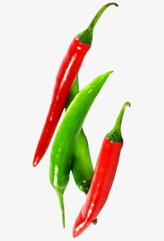 辣椒png图片免抠
