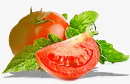 高清西红柿绿叶装饰免抠