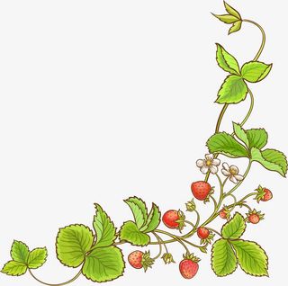 绿色清新草莓藤蔓免抠