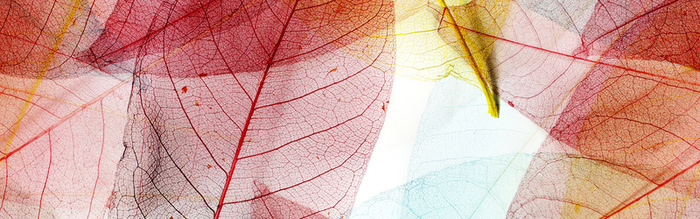 梦幻纹理背景高清