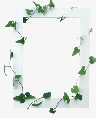 绿叶花边框相框免抠装饰边框元素