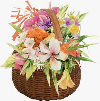 鲜花花篮免抠