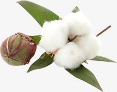 白色蓬松棉花七夕情人节免抠