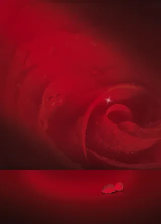 红色玫瑰花背景素材高清