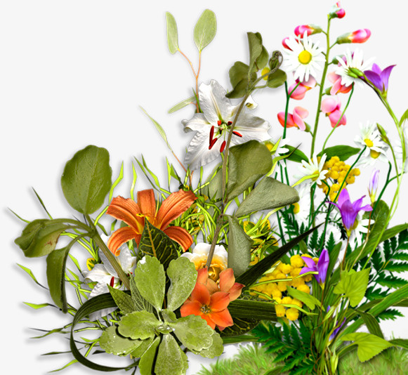 花园植物免抠