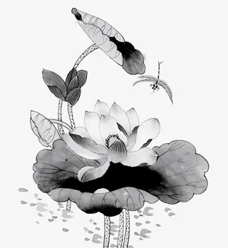 中国风的荷花免抠