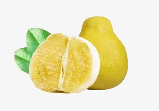 免扣素材沙田柚图片免抠