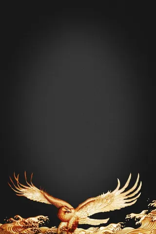 黑色简约金鹰金融理财海报背景高清