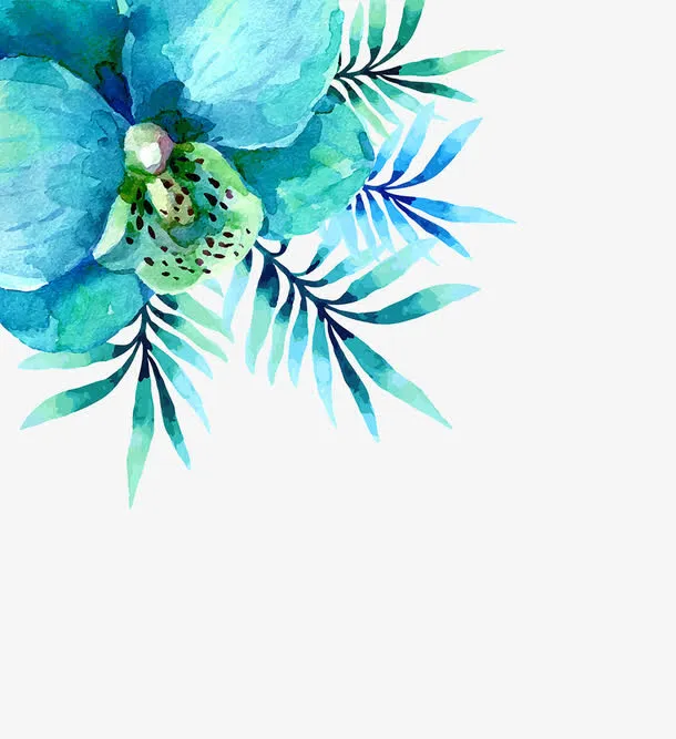 水彩插画花朵免抠