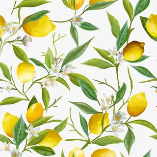 清新柠檬底纹免抠