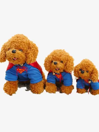 泰迪狗萌狗毛绒公仔玩具免抠