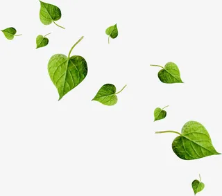 绿色树叶背景免抠漂浮叶子元素