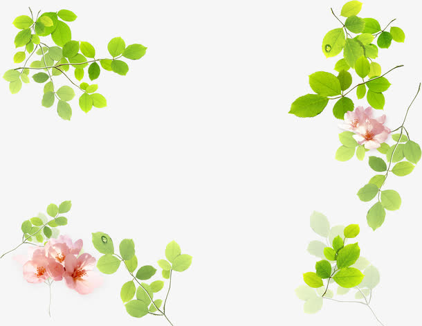 花草边框免抠