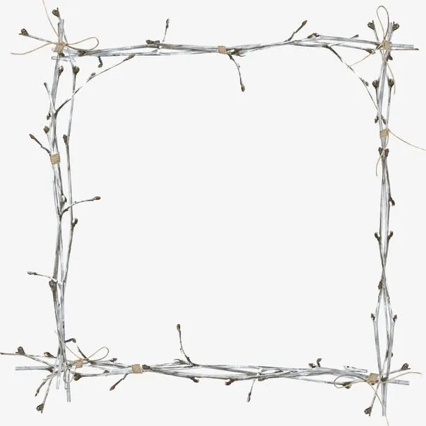 漂亮树枝方框免抠