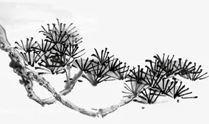 水墨画松树枝免抠