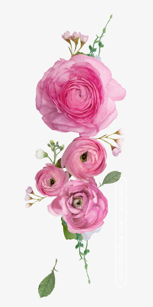 鲜艳的一枝花免抠