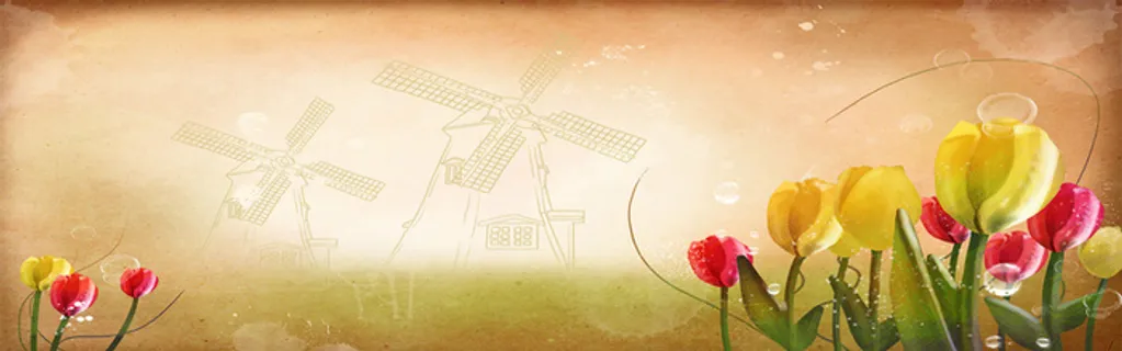 花瓣背景图高清