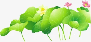 手绘绿色荷叶花朵装饰免抠