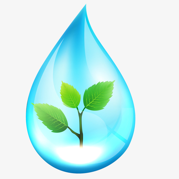 创意矢量手绘树枝水滴免抠
