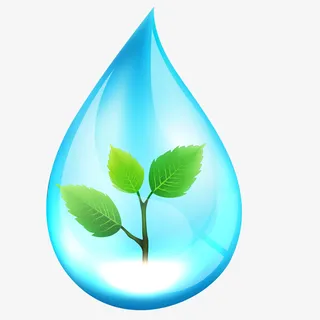 创意矢量手绘树枝水滴免抠