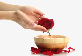 玫瑰精油护理免抠