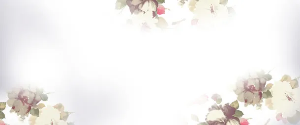 淘宝女装背景