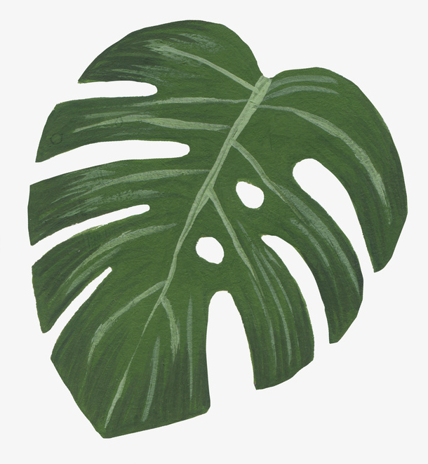 手绘装饰花草免抠免抠