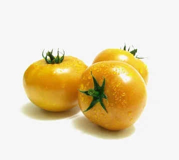 黄色西红柿免抠
