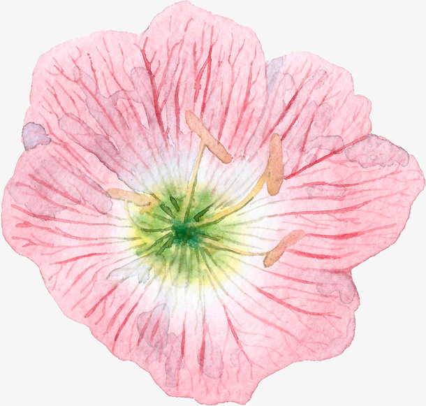 手绘水彩粉色花朵花蕊免抠