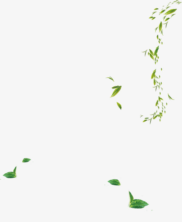 绿叶免抠