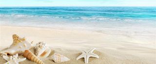 夏日海滩风景旅游banner高清