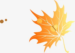 漂浮黄色枫叶落叶免抠