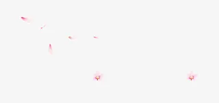 漂浮桃花免抠