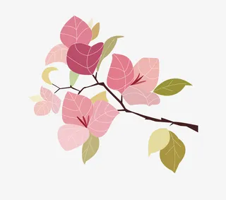 三角梅花卉插画免抠