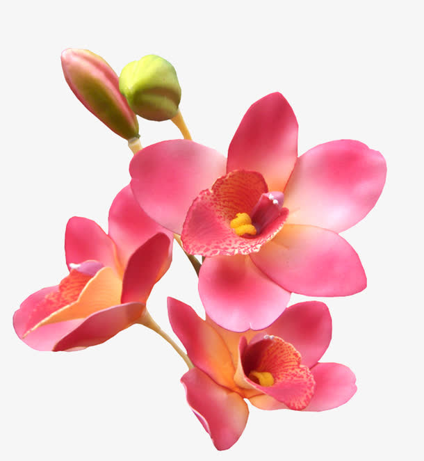 花卉免抠