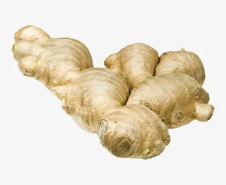 新鲜香料生姜免抠