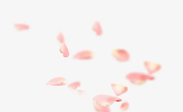 粉色玫瑰花瓣免抠