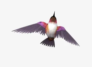 飞翔的燕子免抠