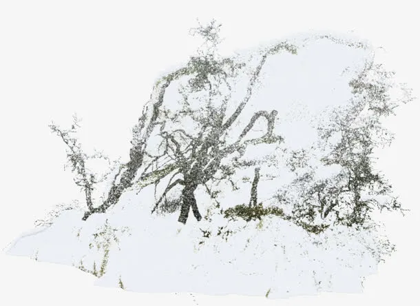 雪堆树枝免抠