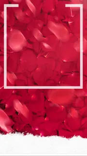 红色花瓣时尚背景高清