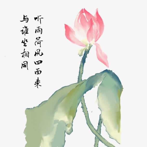 荷花免抠