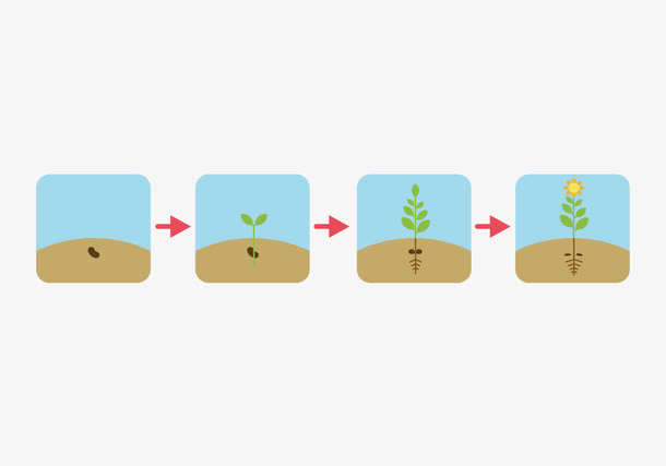 植被生长过程免抠